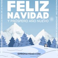 Pro Navidad® Árbol de Navidad 'Seattle'  Pino de Navidad Pino Aguja  Decoración Navideña de Alta Calidad  Árboles de Navidad súper poblados  90/120/150/180/210/240/300cm - details 4