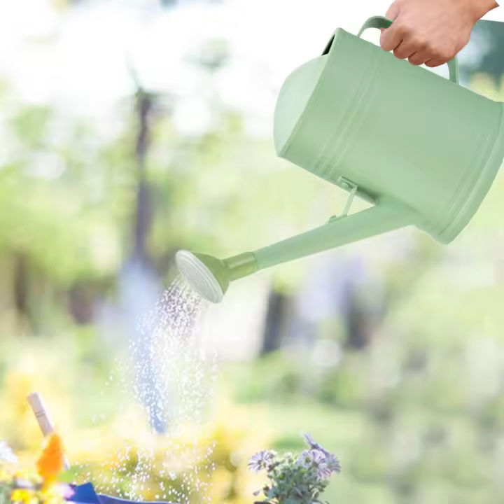 Cubeta De Riego Para Plantas 2L Con Cabeza De Rociador Largo Cubeta De Flores Para Riego Externo Y Doméstico Herramientas De Jardinería - 1
