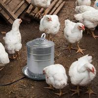 Calentador de Wate de la conductividad Termal del cojeador de la refrigeración del Agua de las aves de Corral ajustable - details 0