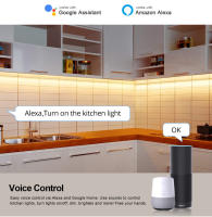 Tira De Luz Neón LED Tuya Smart Life Control WiFi DC12V SMD 2835 120LEDs/M Flexível Tubo Lámpara Trabaja Con Alexa Google Home - details 3