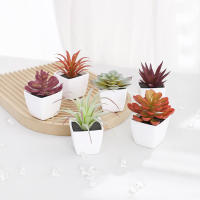 1SET(6PCS) Succulentas Simulación Pequeñas En Macetas Para Decoración De Hogar Balcón Baño Estantería Jardín Mini Realistas 22449ZH6 - details 7