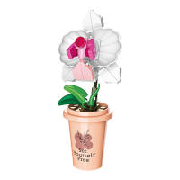 Bloques De Construcción DIY MOC Plantas Succulentas Cactus Gypsophila Bonsái Jardín Modelo Romántico Para Niños Kit De Juguetes - details 32