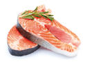 Alimento seco para perro adulto OWNAT MONOPROTEICO Platz K9 S.L. - Nutrición especializada con una única fuente de proteína - details 0