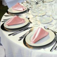 12 servilletas de satén suaves, servilletas de Mesa cuadradas de 17x17 pulgadas para restorante, Boda, Fiesta, decoración de Cunas - details 4