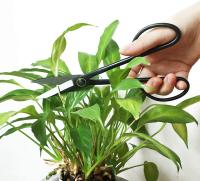 Tijeras De Podar Para Bonsái Para Principiantes Con Mango Largo Negro Herramienta De Jardín Para Arreglar Flores Y Cortar Plantas - details 3