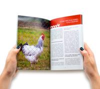 FINCA CASAREJO - Gallinas en Casa: Cuidados y Consejos - Libros Educativos - details 2