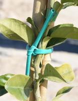 Macarrón de Atado de plantas de 2.75mm. de grosor - Pack 3 unidades de 1 Kg. cada una - Ovillo de macarrón de pvc extensible verde para el atado y entutorado de la viña y árboles. - details 3