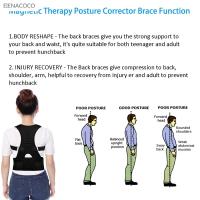 Nueva Correa Ajustable Para Postura De Espalda Y Cintura Corrector De Lumbar Soporte De Columna Vízuelo Alivio Del Dolor Espalda Adulto Comodidad - details 2
