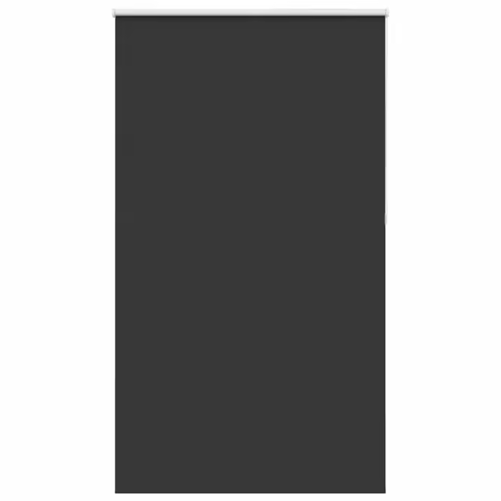 Estor Enrollable Opaco negro 120x210 cm Tela Ancho 116,6 cm - 1