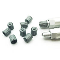 10 Pcs Tapones De Válvula De Neumático Para Coche Nylon Cubiertas De Polvo Con Sellador Accesorios Gris Para Auto Bicicleta - details 1