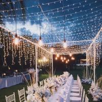 Luces LED De Navidad 220V Con Enchufe EU 10M Para Decoración Externa Guirnalda De Farolillos Para Hogar Bodas Fiestas Y Vacaciones - details 4