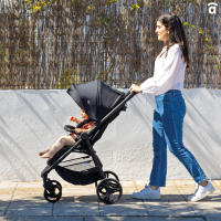 Asalvo Silla de paseo Iconic  - Cochecito de bebe desde el nacimiento hasta los 22 kg, Reclinable, Capota extensible, Lavable - details 1