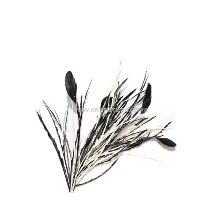 MONTAJE DE PLUMAS - 1