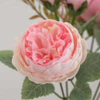 1 Pieza De Flores Artificiales Peonia De Seda Para Decoración Casa Boda Fiesta Faux Bouquet Arreglo De Plástico - details 6