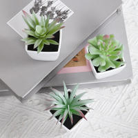 3PCS/6PCS Pelota De Plantas Artificiales Para Pequeños Bonsái DIY Artesanía Decoración Para Escritorio Y Ventanasilleros - details 4