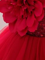 Vestido De Princesa Para Niñas Sin Mangas Vestido De Boda De Malla Con Mariposa Tridimensional Vestido De Cumpleaños Y Fiesta De Carnaval Para Niñas De 1-5 Años - details 15