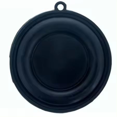 MEMBRANA CALENTADOR COINTRA 5170 11170 10 LITROS - 1