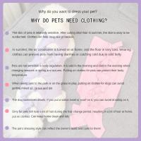 Ropa Postoperatoria Para Gatos Esterilizados Previene Lamería Transpirable Pantalones Fisiológicos Ayuda En El Desamamamiento Producto Para Mascotas - details 1