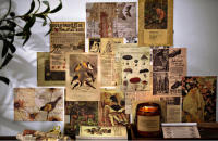 Póster Anime Cowboy Bebop C-Cowboy Estilo Vintage Para Decoración De Pared Habitación Estudio Sin Marco Papel Kraft - details 1