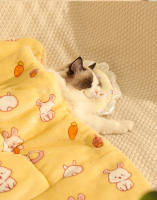 Manta Para Mascotas De Otoño E Invierno Manta Para Perro Y Gato Manta Suave Para Descansar Todas Las Estaciones Coral Fleece Lavable a Mano - details 11