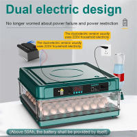 Incubadora Automática Mini con Volteo de Huevos Control de Temperatura y Riego HidroIónico Caja Extraíble Capacidad para 10 15 Huevos de Gallina Incuba Patos Gansos Palomas Codornices Voltaje Dual 12V/220V Incubadora Inteligente - details 1