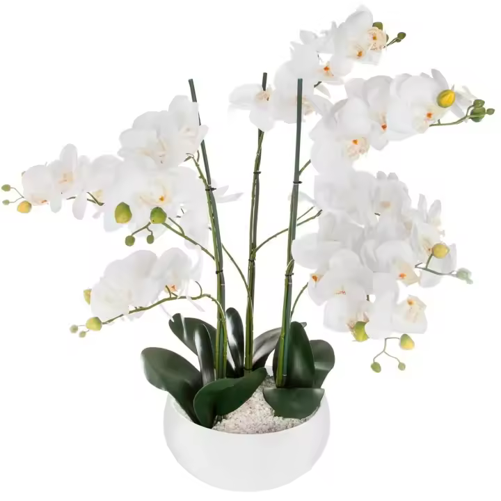 Orquídea Artificial Atmosphera en Maceta Cerámica Blanca H65 - Decoración Interior Moderna y Elegante - 1