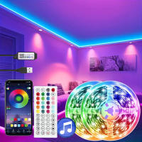 Tira De Luces LED RGB 3535 Control APP Con Remote De 44 Teclas Flexible Bandeja Lámpara Para Decoración De Habitaciones Cadena De Luz SMD No Impermeable Epistar 5V - details 0