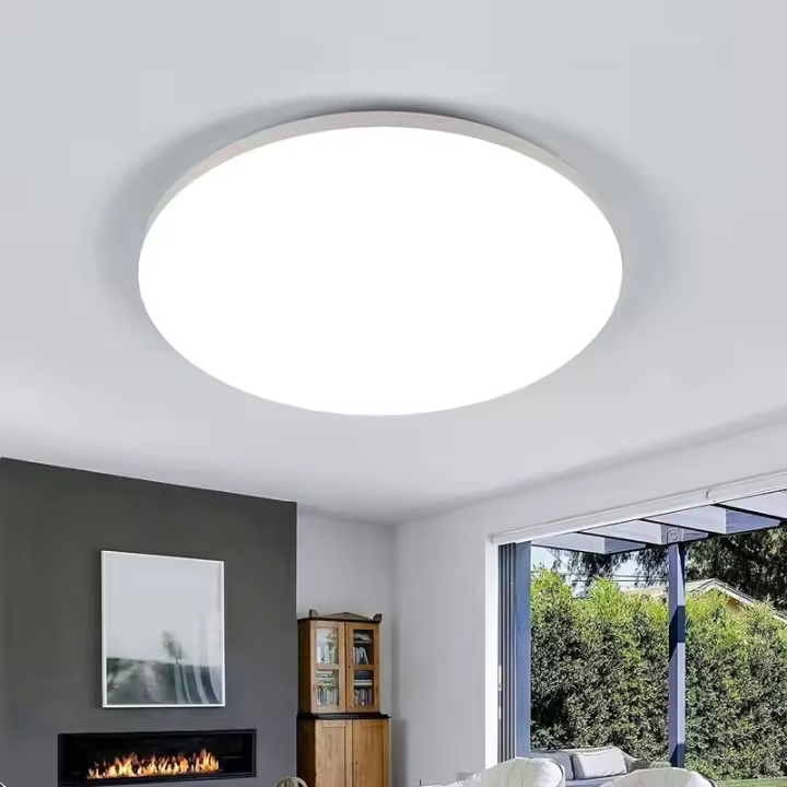 Lámpara de Techo LED de 24W Luz Blanca Fria 6500K Ideal para Dormitorio, Baño, Cocina, Balcón, Pasillo - 1