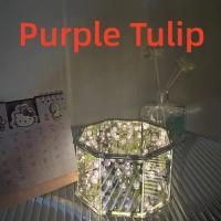 Lámpara De Espejo En Forma De Tulipán DIY Iluminación Nocturna 3D Hecha a Mano Regalo De Cumpleaños Con Luz LED - details 17