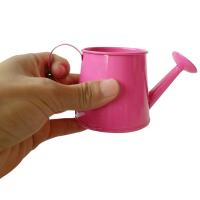 Mini Jarrón De Riego Para Niños Juguete De Jardinería Metal Tinado Para Agua De Jardín Y Flores Juguetes Interiores - details 3