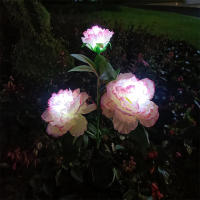 Luces Solares Para Jardín Peonia Decorativas Impermeables Para Ruta Patio Jardín Trasero Luz LED Moderna ABS Fuente De Energía Solar - details 7