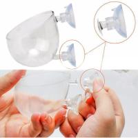 Decoración De Acuario Pequeño Vaso De Vidrio Para Plantas Acuáticas Juego De Cultivo De Pescado Basin De Paisaje - details 4