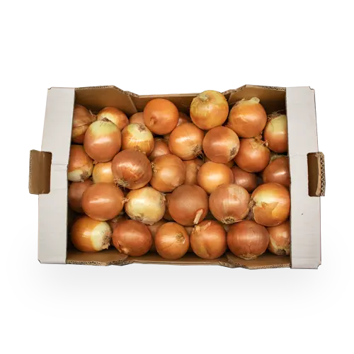N / Caja de Cebolla Seca 10 Kilos | Dulzura y Frescura en Cada Capa - 1