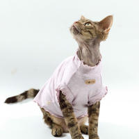 Camiseta De Verano Primavera Para Gato Sphynx Suave Transpirable Color Sólido Alta Elasticidad Amigable Con La Piel Ropa De Mascota Devon - details 3