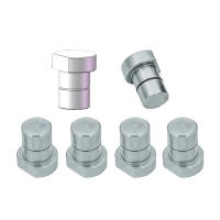 Tornillos De Banda De Acero Inoxidable Para Trabajar En Mesa 3/4 Pulgada Clavija De Perro Para Tabla Stopper MFT 19mm 20mm Herramienta De Carpintería - details 6