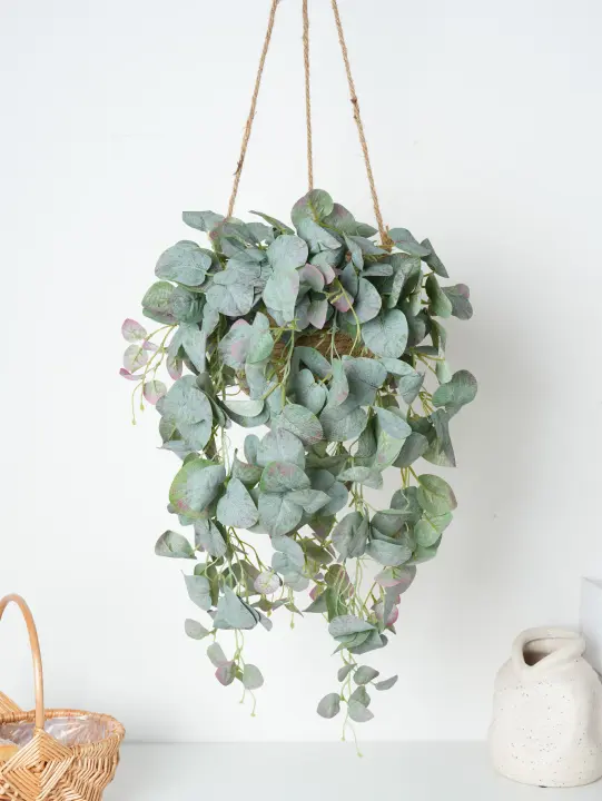 Eucalipto Rattan Plantas Artificiales Vine Hoja Verde Seda Ivy Colgante Para Decoración De Hogar Boda Fiesta En La Pared - 1