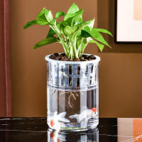Maceta Autoabastecida Transparente De Plástico Para Plantas Y Acuarios Decoración Moderna Para Sala De Estar Y Oficina - details 13