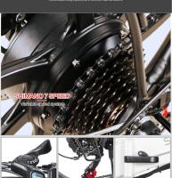 Bicicleta Moped Eléctrica Plegable Inteligente Samebike 20LVXD30, Motor de 350W, Velocidad Máxima de 35 km/h, Neumático de 20 pulgadas - details 13