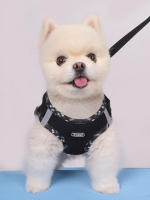 Alforja Para Perros Ajustable Anti-Pull Fácil De Controlar Para Pequeños Y Medianos Mascotas Material De Poliéster Blends - details 3