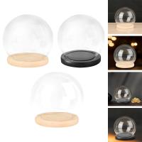 Juego De Domos De Vidrio Transparente Con Base De Madera Para Decoración De Casas De Muñecas Caja De Exhibición Protectora Micro Paisaje Soporte Para Colecciones - details 1