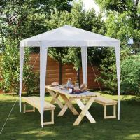 vidaXL Carpa para Celebraciones Profesional Fiestas Jardín Exterior Color Azul,  Blanco,  Antracita y mas - details 1