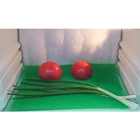1-10Pc Almohadilla De Esponja Para Nevera Alfombrilla De Armario Fresco Antimoho Antibacteriano Antipolvo Para Alimentos - details 2