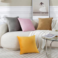 Cubiertas De Cojín Suaves De Terciopelo 45x45cm Lavables Cubierta De Almohada Decorativa Cuadrada JAF093 Para Sofá Silla - details 0