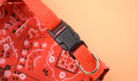 Pañuelo Triangular Ajustable Para Gatos Y Perros Almohadilla De Lengua Impresión Personalizada Collar Para Perros Y Gatos Recién Nacidos Accesorios Para Mascotas - details 6