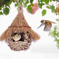 Nido De Colibrí Tejido a Mano Cueva Para Pájaros Wren Finch Decoración De Jardín Exterior Caja De Pájaros De Madera - details 0