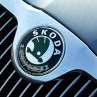Banner - Emblema para capo o trasero compatible con Skoda 80 mm verde