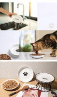 Tazón De Gato Cerámico Con Fondo De Silicona No Derrumbe Fácilmente Alimento Para Perro Y Gato Porcelana Resistente a Derrumbe Accesorios Para Mascotas - details 7