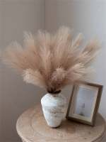 10pcs De Pampas Artificiales 55cm/21.65 Pulgadas Altas Rejas De Terciopelo Falso Grama Para Relleno De Vaso De Piso Decoración De Hogar - details 6