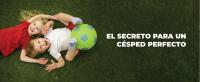 LUCCY Higienizador Césped Artificial  Limpiador para Césped Artificial Triple Acción, Higienizador Concentrado, Control de Olores - details 0
