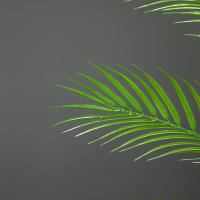 Grande Planta Artificial De Palma Tropical 50-120cm Hojas Verdes De Plástico Para Decoración De Jardín Oficina Hotel Y Hogar - details 8